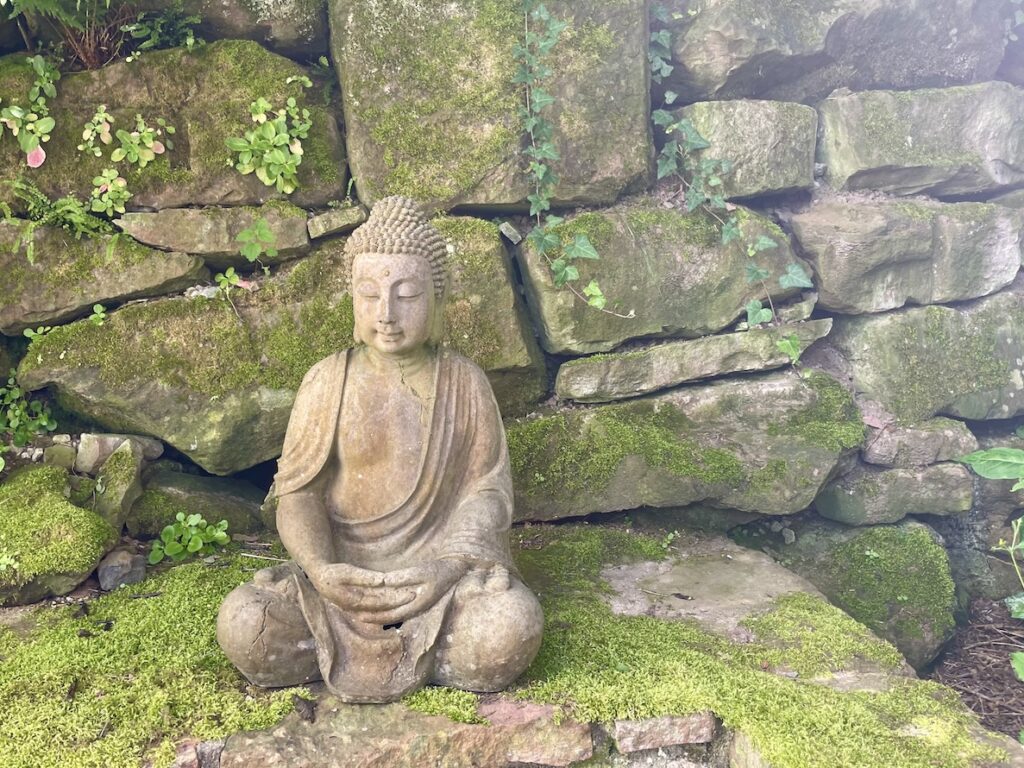 Auszeit, Zen, Yoga, Buddha, Meditation, Aarau, Miniretreat, Retreat zu Hause, sarva