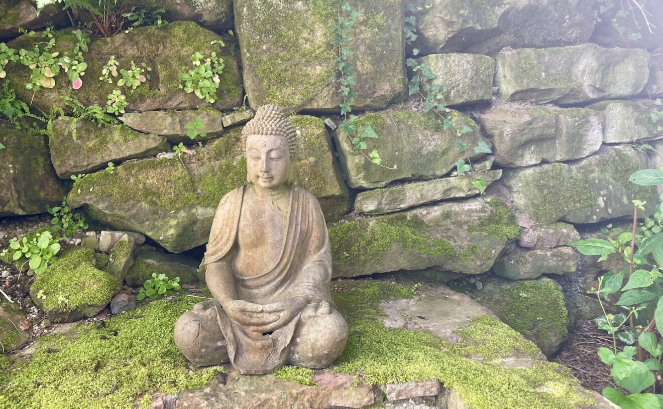 Auszeit, Zen, Yoga, Buddha, Meditation, Aarau, Miniretreat, Retreat zu Hause, sarva
