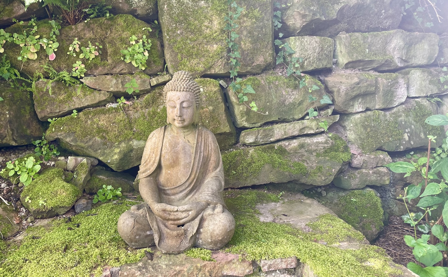 Auszeit, Zen, Yoga, Buddha, Meditation, Aarau, Miniretreat, Retreat zu Hause, sarva