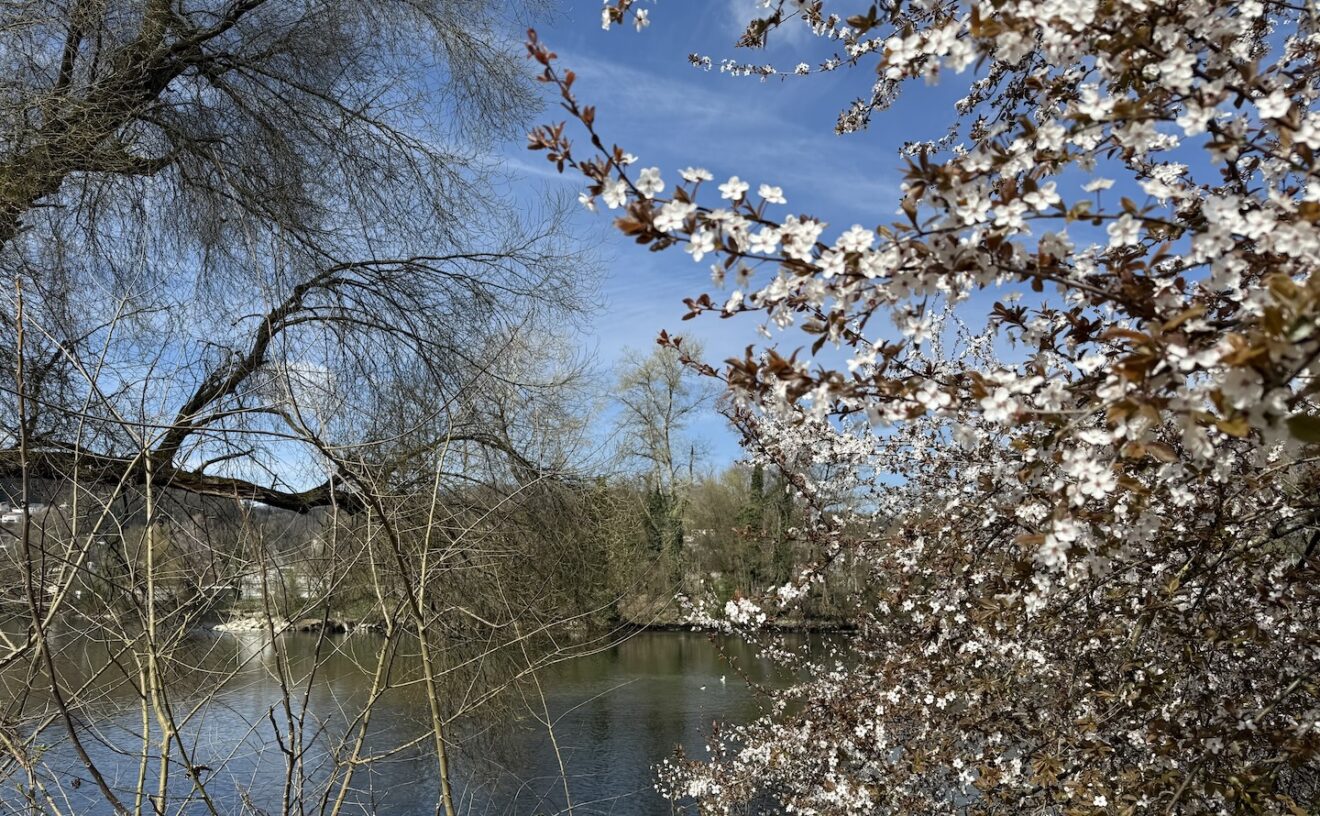 durchatmen, Pranayama, prana, Aarau, Sarva, Yoga