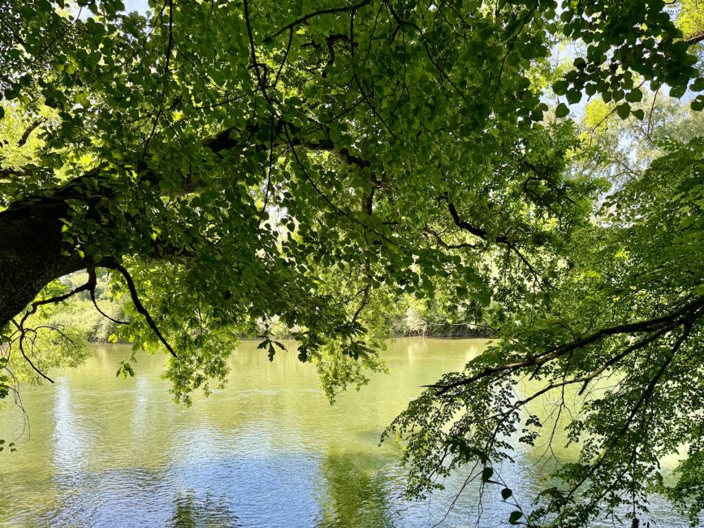 Aarau an derAare im Yommeryoga