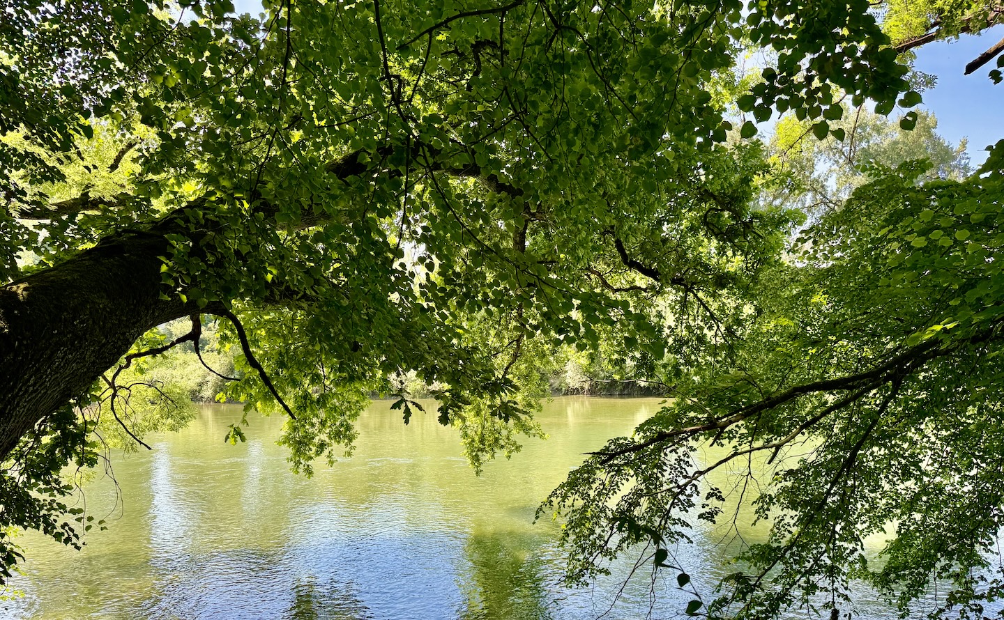 Aarau an derAare im Yommeryoga
